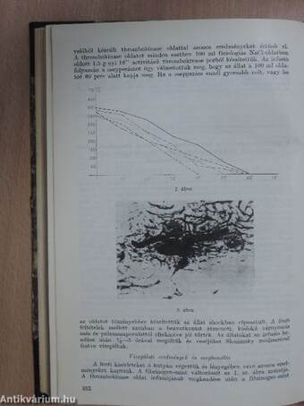 Magyar Nőorvosok Lapja 1961. január-december