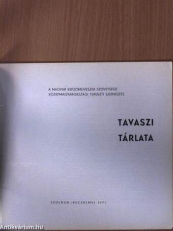 A Magyar Képzőművészek Szövetsége Középmagyarországi Területi Szervezete tavaszi tárlata 1971.