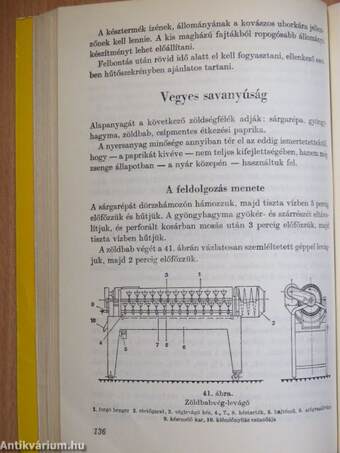 Savanyúságok