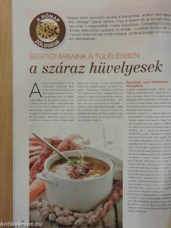 Új Elixír Magazin 2012. december