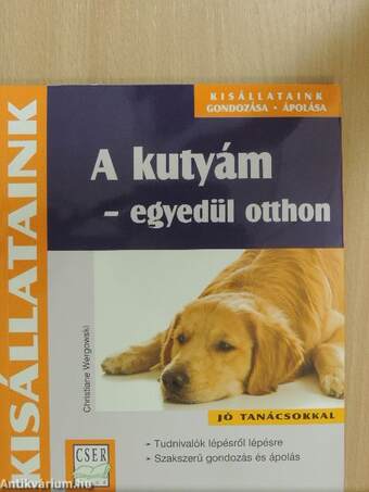 A kutyám - egyedül otthon