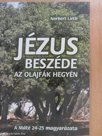 Jézus beszéde az Olajfák hegyén