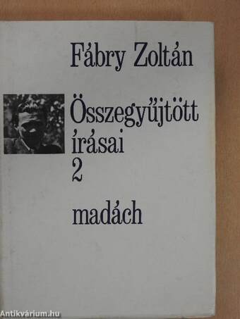 Fábry Zoltán összegyűjtött írásai 2.