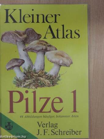 Pilze 1