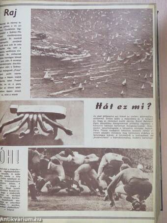 Képes Sport 1966. (nem teljes évfolyam)