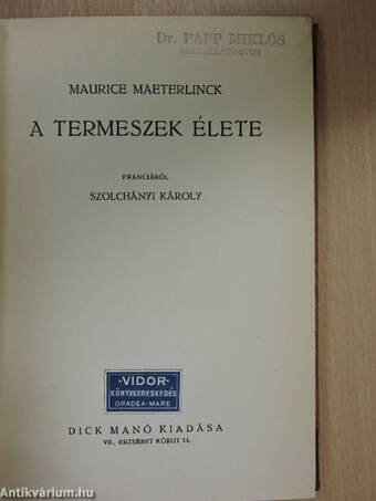 A termeszek élete