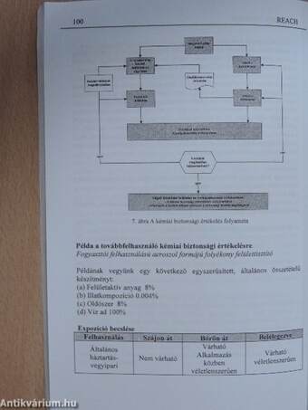 REACH: A vegyi anyagok regisztrálása, értékelése, engedélyezése és korlátozása