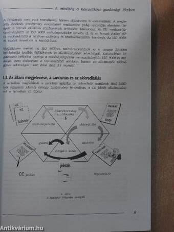 ISO 9000:2000 menedzser szemmel