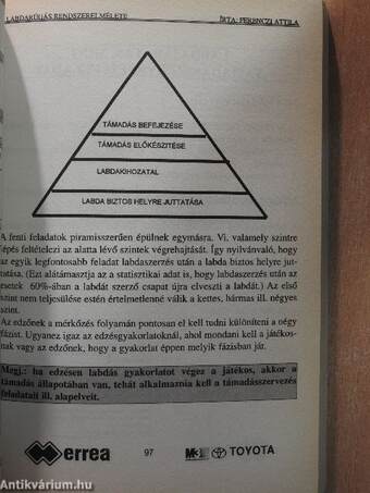 A labdarugás rendszerelmélete avagy a labdarúgás vizsgálatának új koncepciója