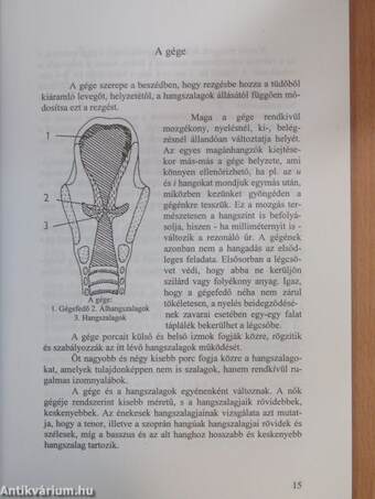 Bevezetés a beszédfogyatékosok pedagógiájába