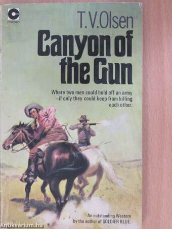 Canyon of the Gun