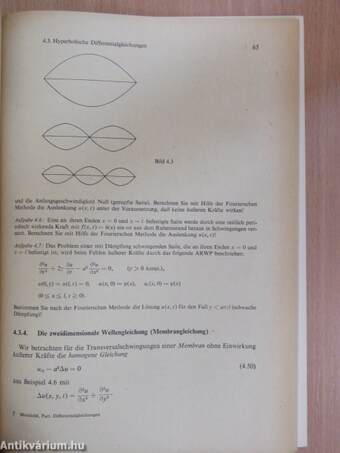 Partielle Differentialgleichungen