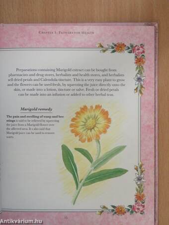 Traditional Flower Remedies