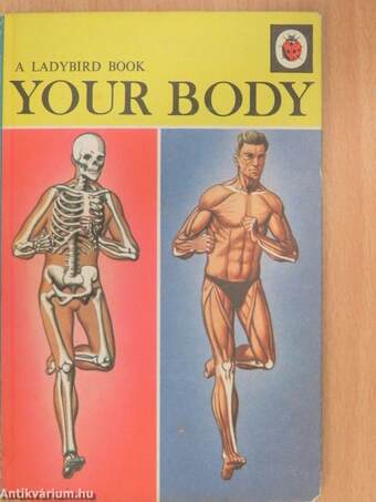 Your body