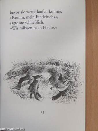 Der Findefuchs