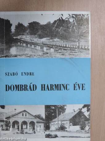 Dombrád harminc éve