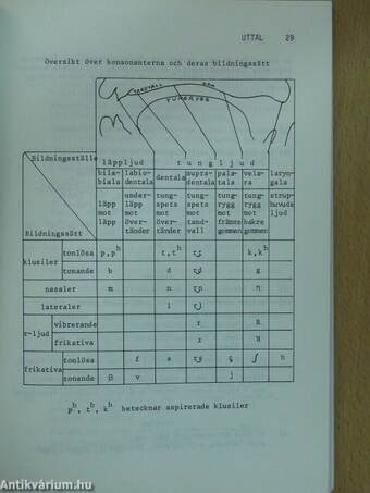 Svensk grammatik (dedikált példány)