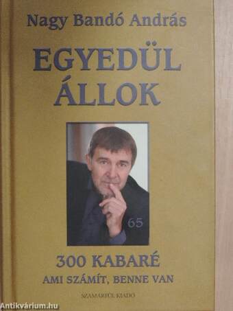 Egyedül állok