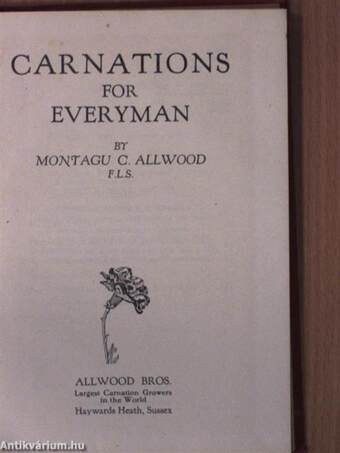 Carnations for Everyman