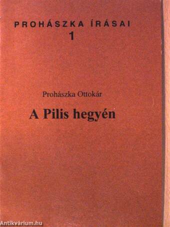 A Pilis hegyén