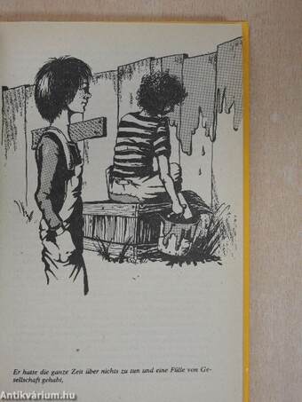 Die Abenteuer des Tom Sawyer