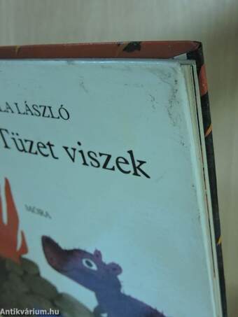 Tüzet viszek