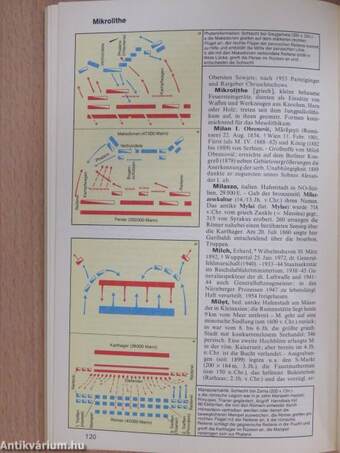 Meyers Taschenlexikon Geschichte 1-6.