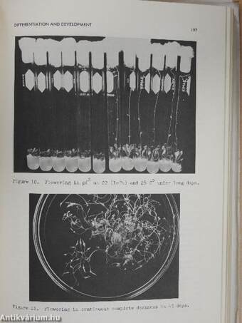 Genetic Manipulations with Plant Material