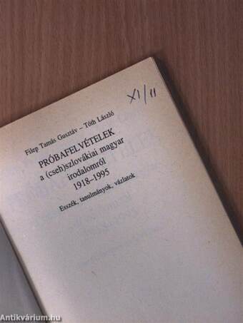 Próbafelvételek a (cseh)szlovákiai magyar irodalomról 1918-1995