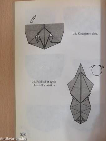 Origami 6.