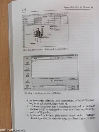 Egyszerűen Excel 2002 for Windows XP