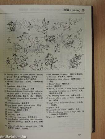 The Oxford-Duden Pictorial English-Chinese Dictionary