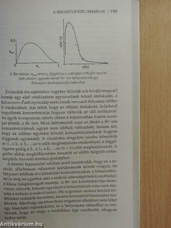 Egy kultúra között