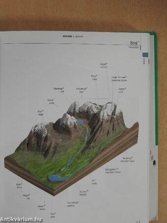 Pons Bildwörterbuch Deutsch, Englisch