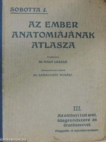 Az ember anatomiájának atlasza III. (töredék)