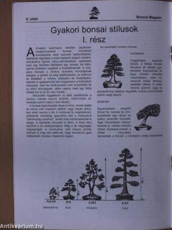 Bonsai Magazin 1998. április