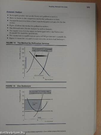 Economics 2009/I.