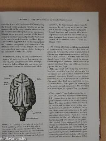 Fundamentals of Human Neuropsychology