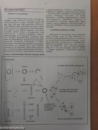 Géntechnológia és genetikai környezetszennyezés