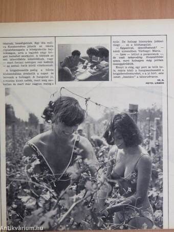 Ifjúsági Magazin 1975. (nem teljes évfolyam)