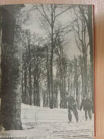 Szabad Hazánkért 1953. január-december