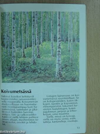 Metsä elää kanssasi