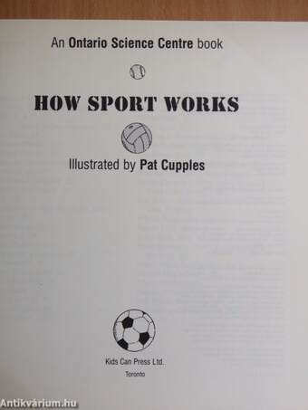 How Sport Works