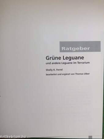 Grüne Leguane