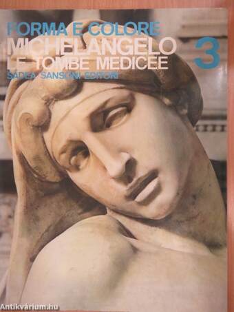 Michelangelo: le tombe Medicee