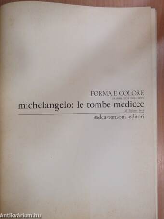 Michelangelo: le tombe Medicee