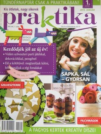 Praktika 2013. január