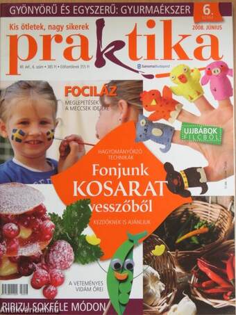 Praktika 2008. június