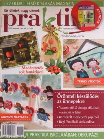 Praktika 2012. november