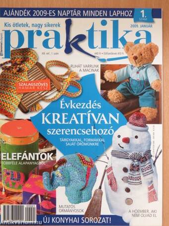 Praktika 2009. január